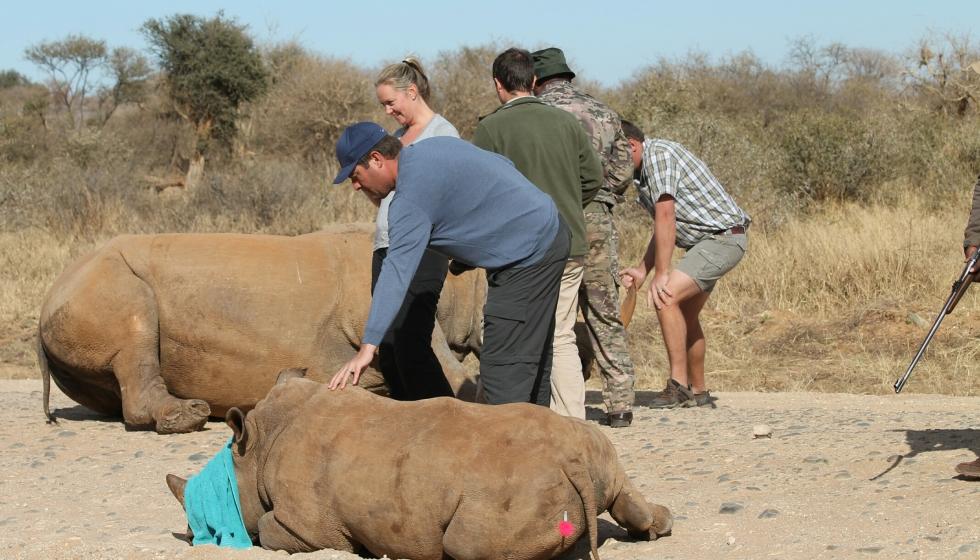 Rhino Conservation & Wild Dog Awareness