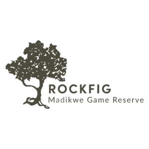 Rockfig-Madikwe-Logo